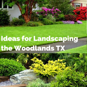 Ideas for landscaping the Woodlands, TX